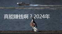 真能赚钱啊？2024年全球一半以上新增财富来自于AI